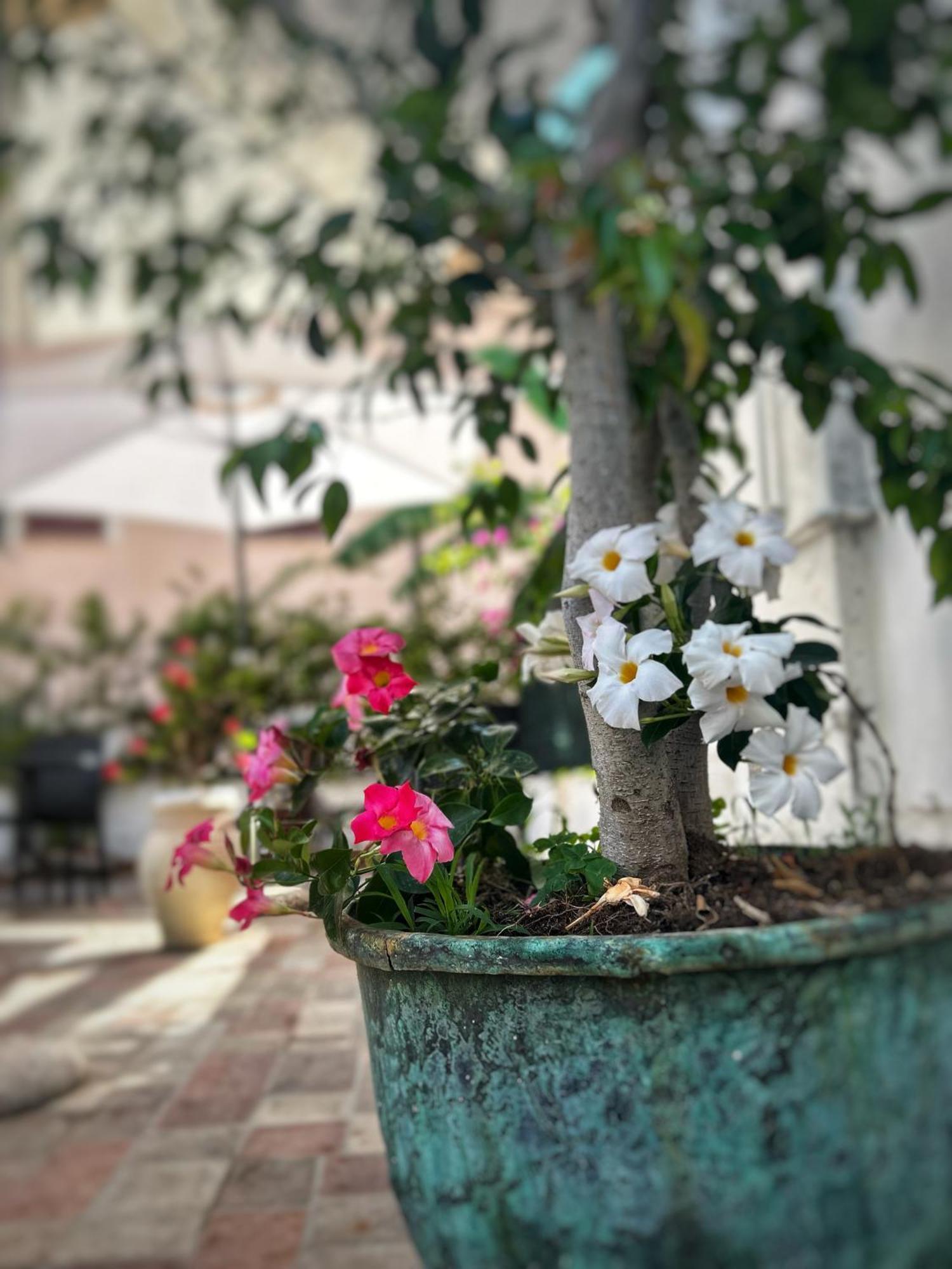 La Maison Derriere Tropea Bagian luar foto